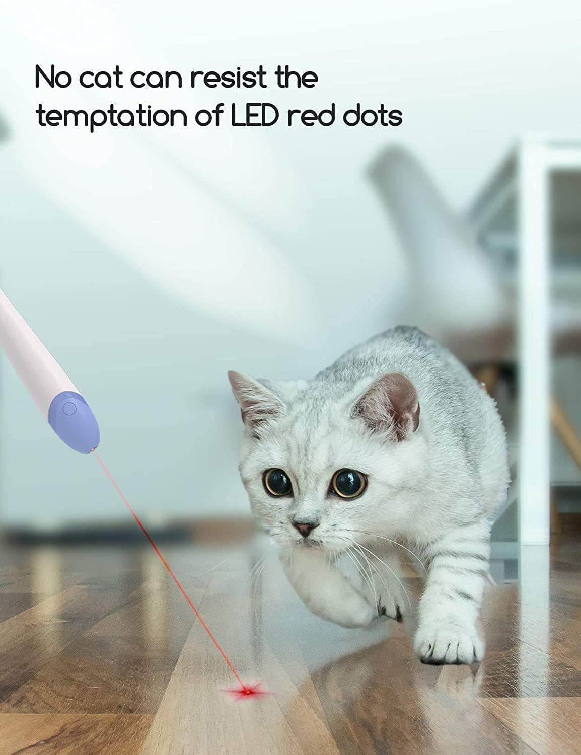 Cat Toys for Indoor Cats Interactive Cat Feather Fishing Pole 1Pcs Retractable Cat Wand Toy with Projection & 2Pcs Natural Feather Replacements (Green)