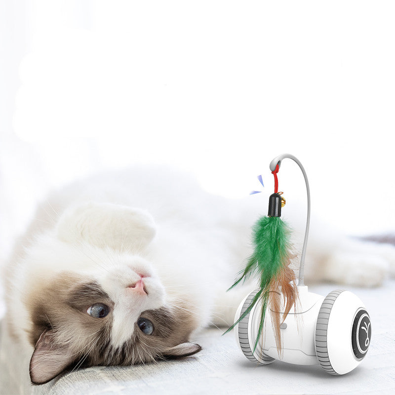 Interactive Cat Toy with Interchangeable Heads Pet Feather Toys