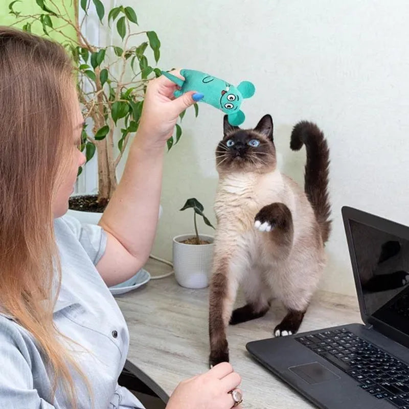 Pet Plush Toys Cat Chew Toys Cat Interactive Toys Kitten Catnip Toys Cat Teeth Cleaning Supplies