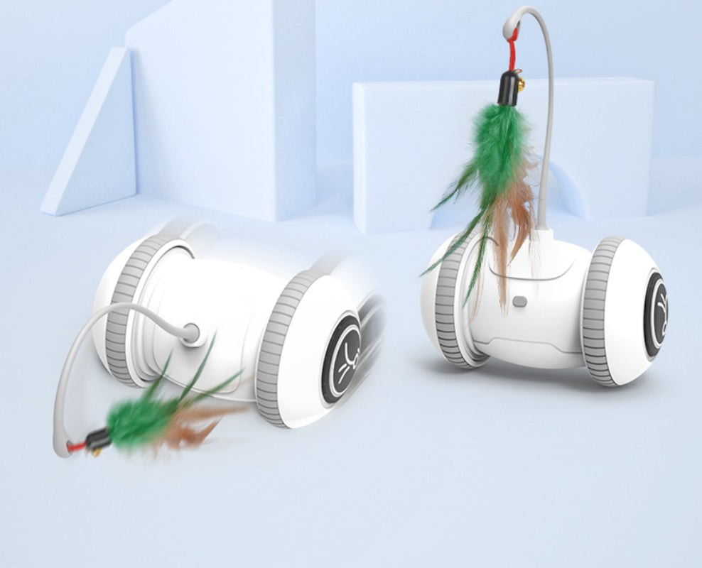 Interactive Cat Toy with Interchangeable Heads Pet Feather Toys