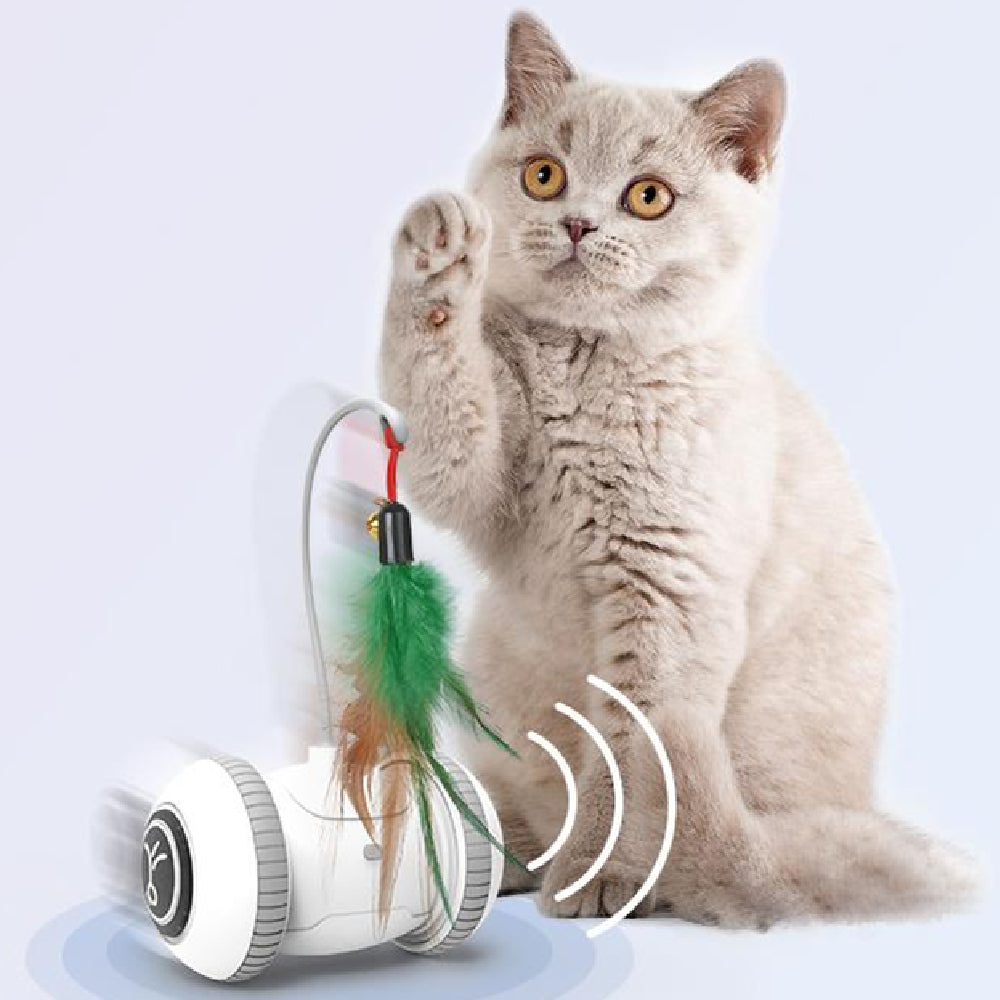 Interactive Cat Toy with Interchangeable Heads Pet Feather Toys