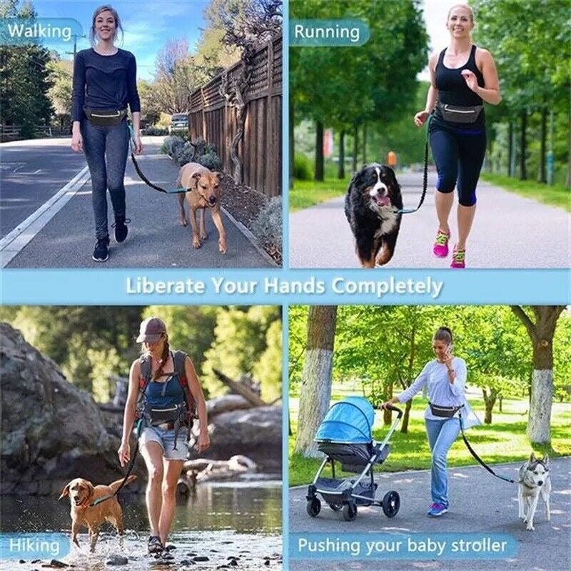 Laufleine Hundeleine Joggingleine Walkingleine Wanderleine Mit Bauchgurt