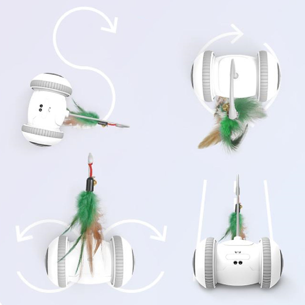 Interactive Cat Toy with Interchangeable Heads Pet Feather Toys